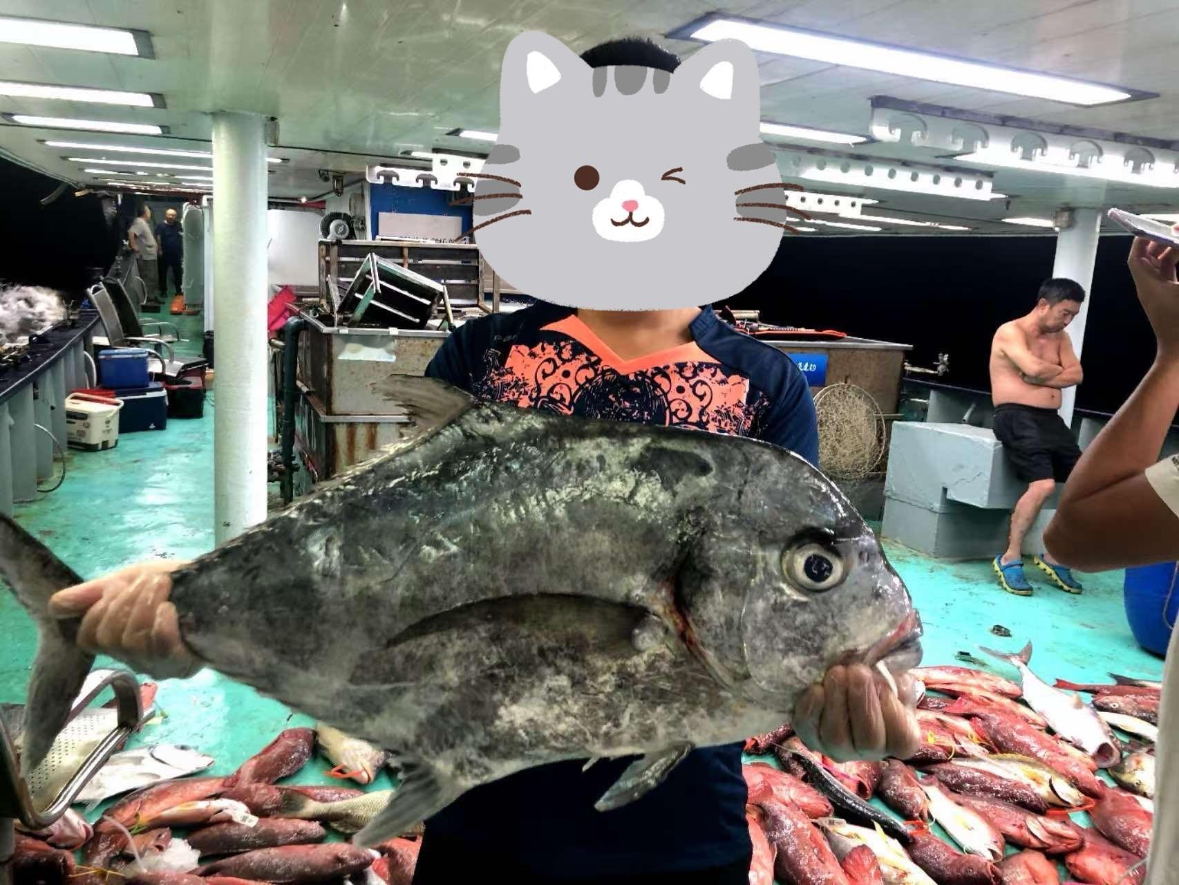 这是我见过钓鱼技术最好的制造业老板，企业做得好，钓鱼技术一流，而且两者内在逻辑相