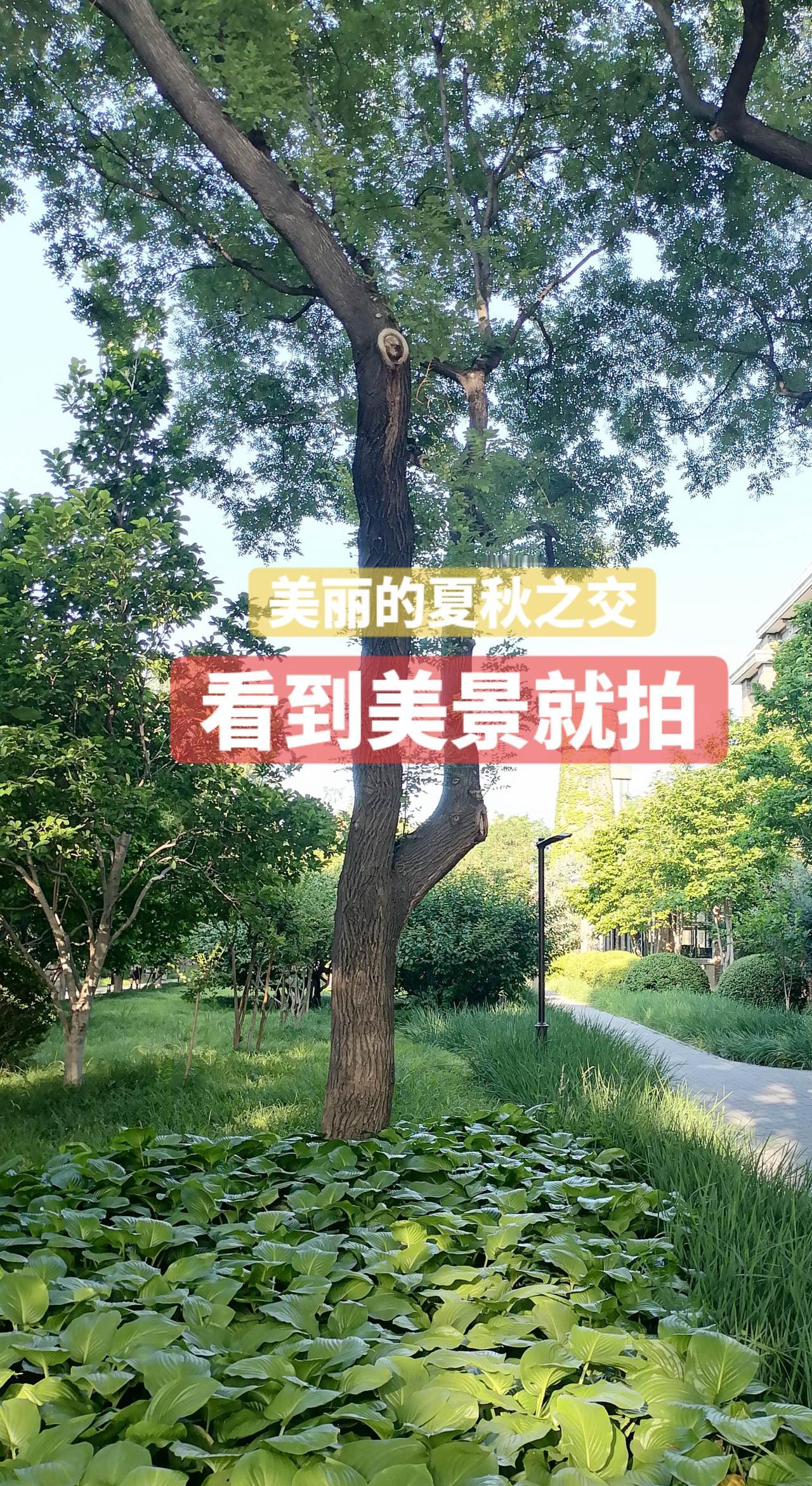 看到美丽的景色就要拍下来，一方面，欣赏季节的变化，另一方面，体验生活的惬意！生活