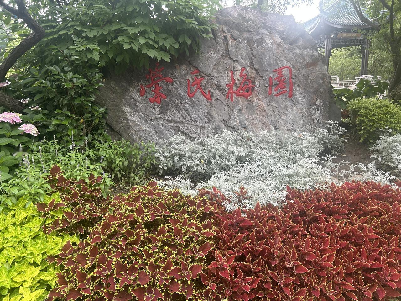 5月27日，阳光明媚，我和家人怀着无比激动的心情，到无锡荣氏梅园游览。早就听说这