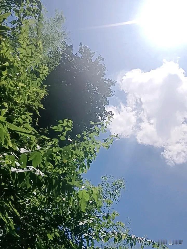 夏日随手拍