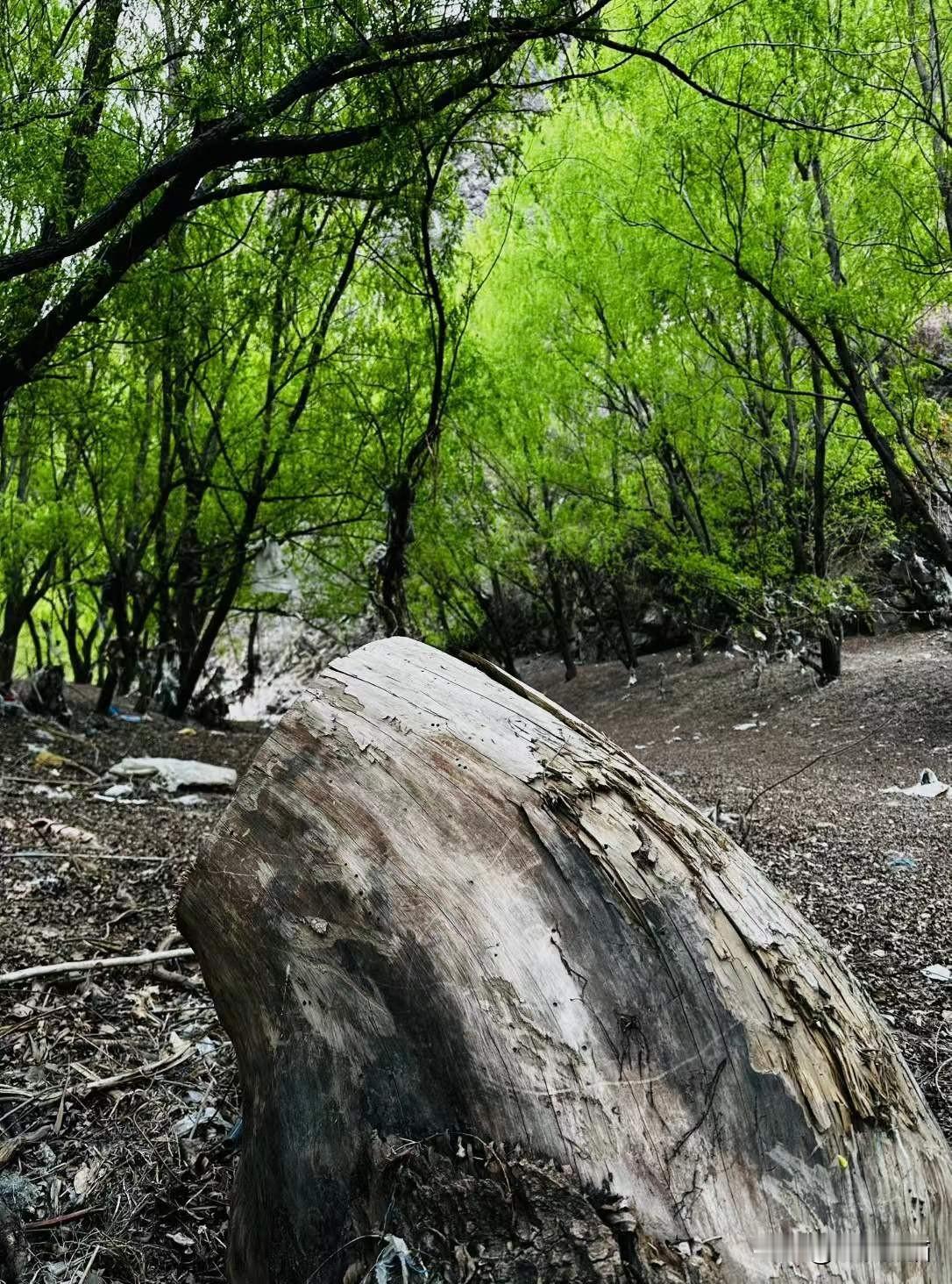 【金川河谷】
绿意浸山谷 和风拂面凉
图文：四川省女摄影家协会   何军