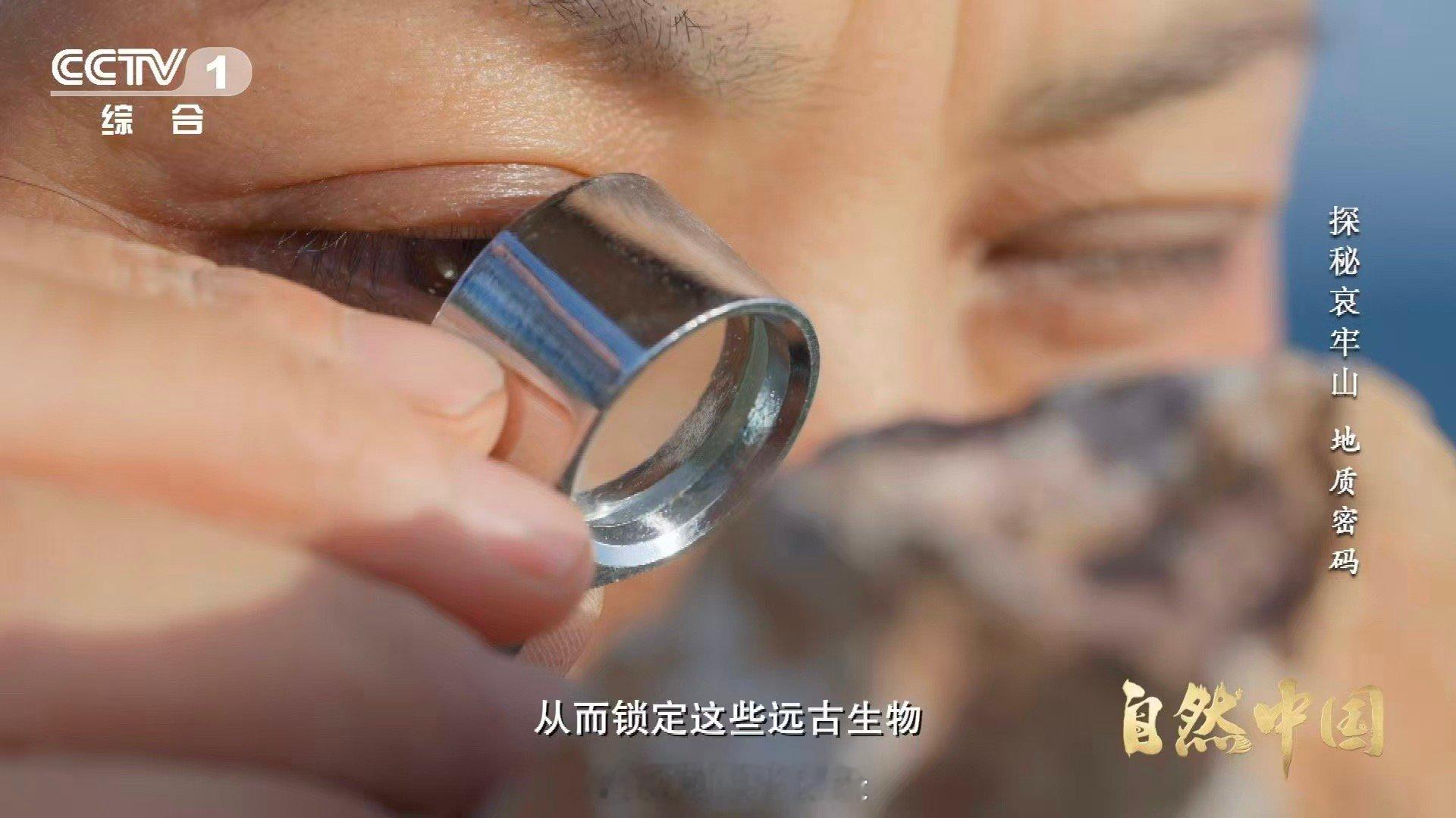 哀牢山顶惊现海底世界哀牢山顶竟藏3.75亿年前珊瑚化石 登上山顶，却闯入史前海底