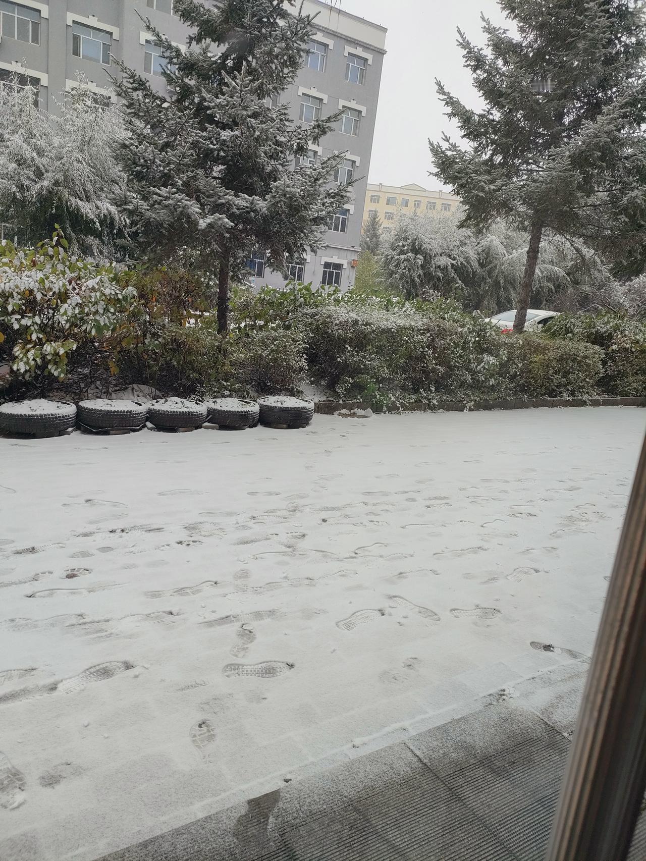 家人们，2025年的第一场雪，就这么猝不及防地来了！
 
早上一睁眼，拉开窗帘，