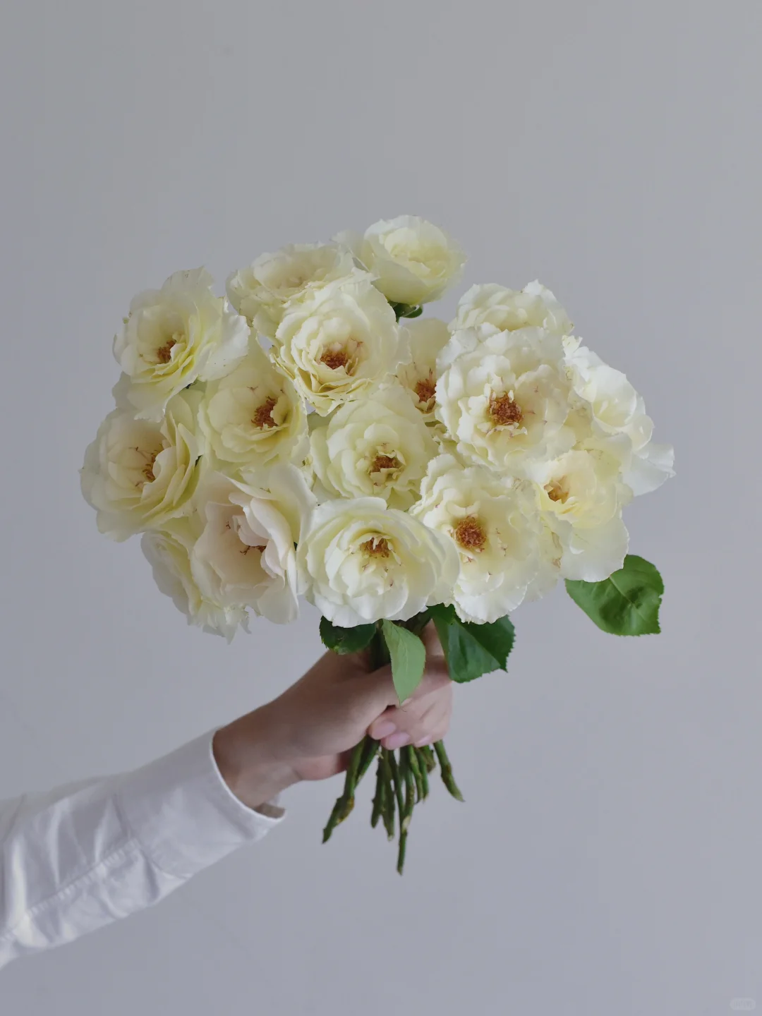 三木谷庄园·玛格丽特梅丽尔