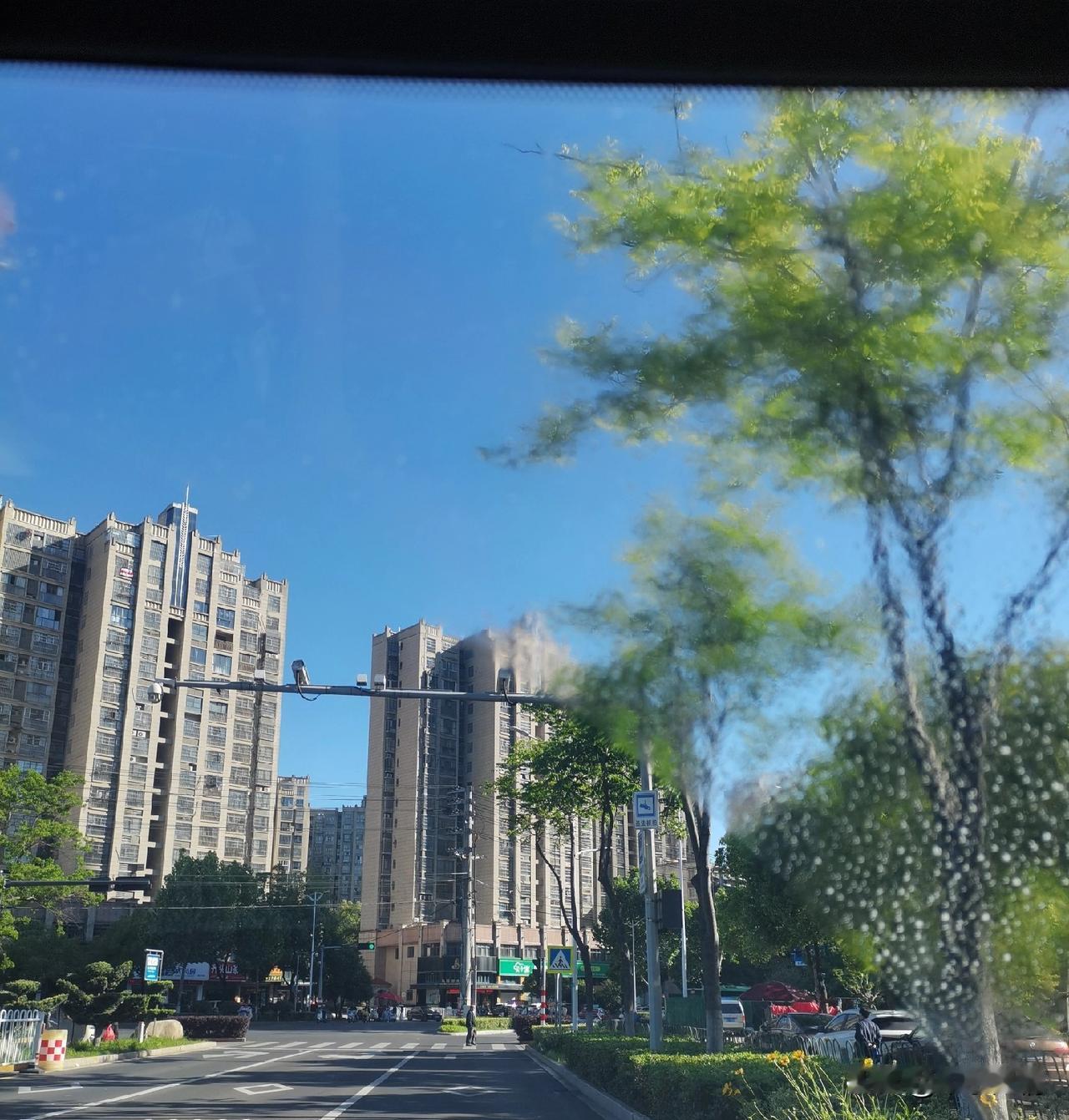 早晨阳光明媚，空气非常的新鲜，合适去踏青！