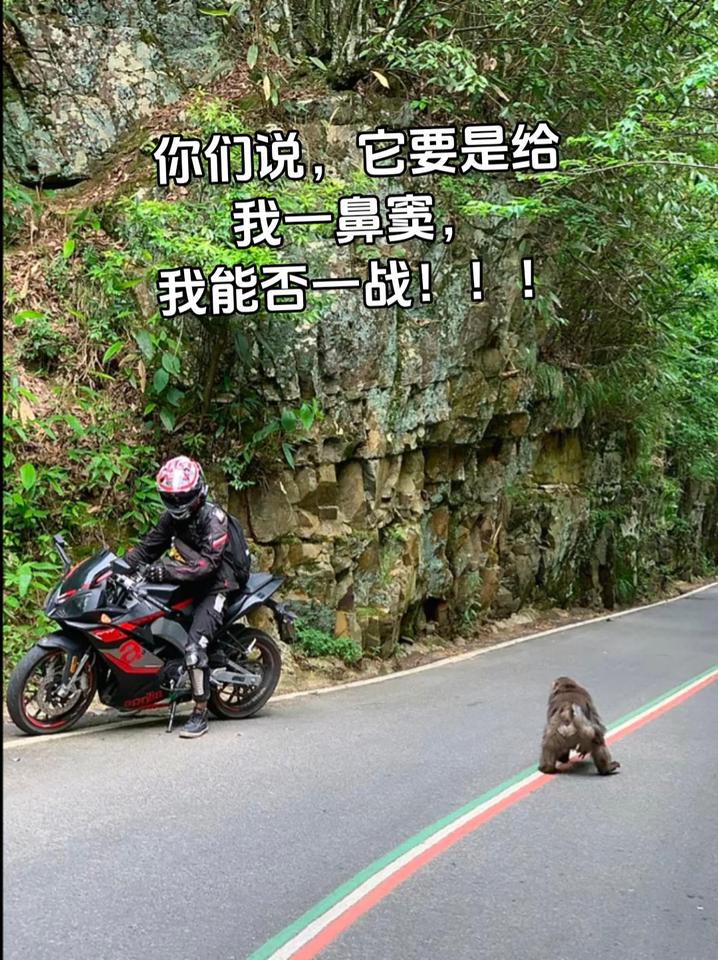 我避它锋芒？？我的骑行日记 仿赛