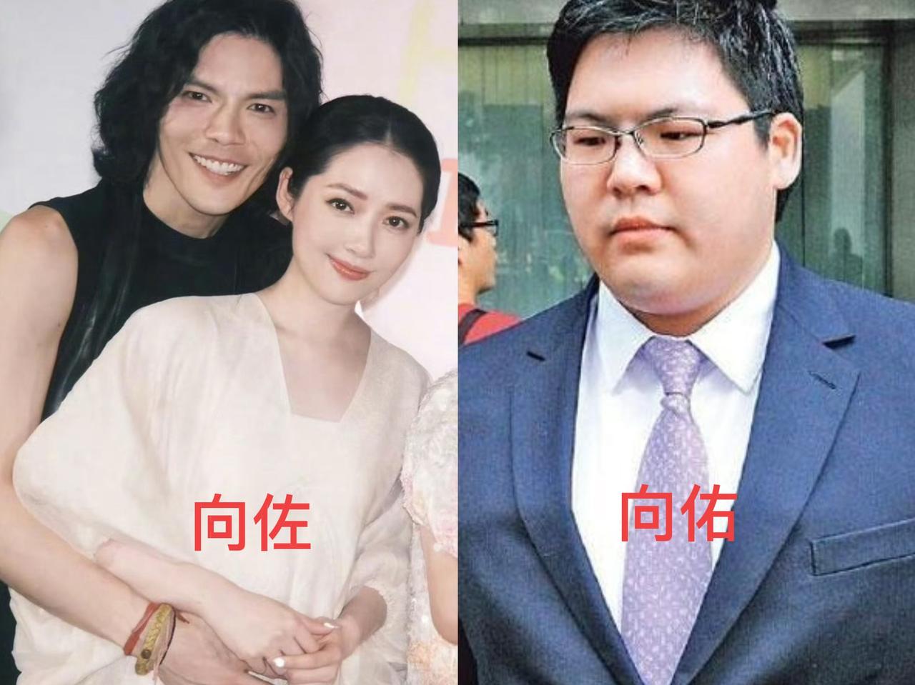 向太近日谈及豪门找儿媳的标准，

一番直白发言戳中无数人，

颠覆大众对豪门择偶