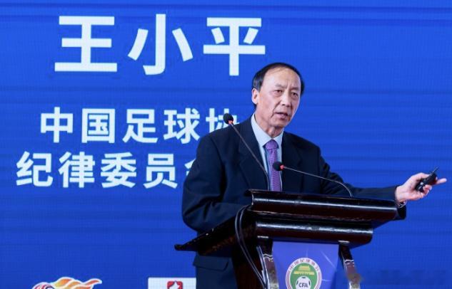 王小平受贿案二审维持原判 🚨湖北省荆州市中级人民法院对中国足球协会纪律委员会原