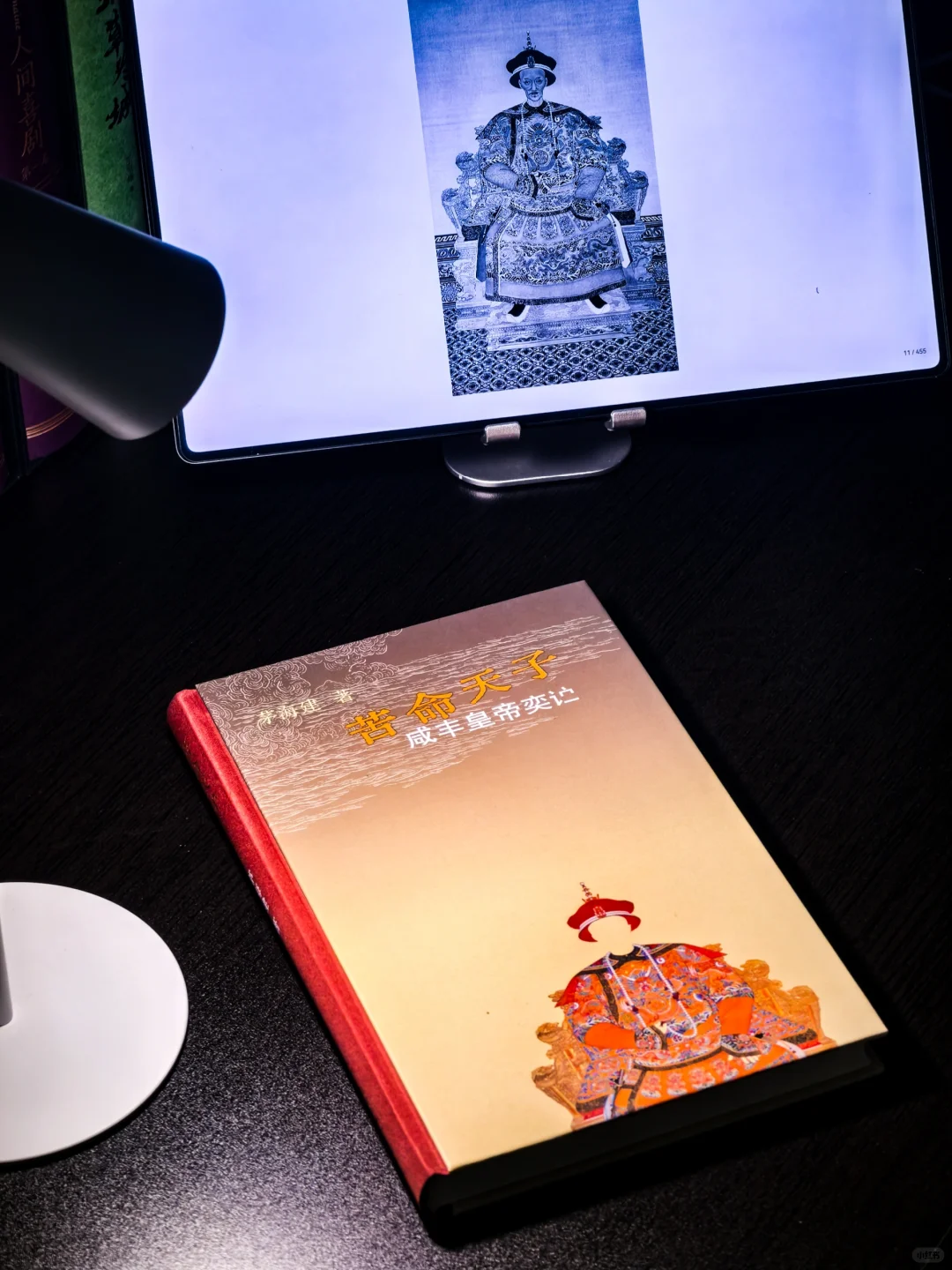 与其说是传记，不如说是近代史的补遗。