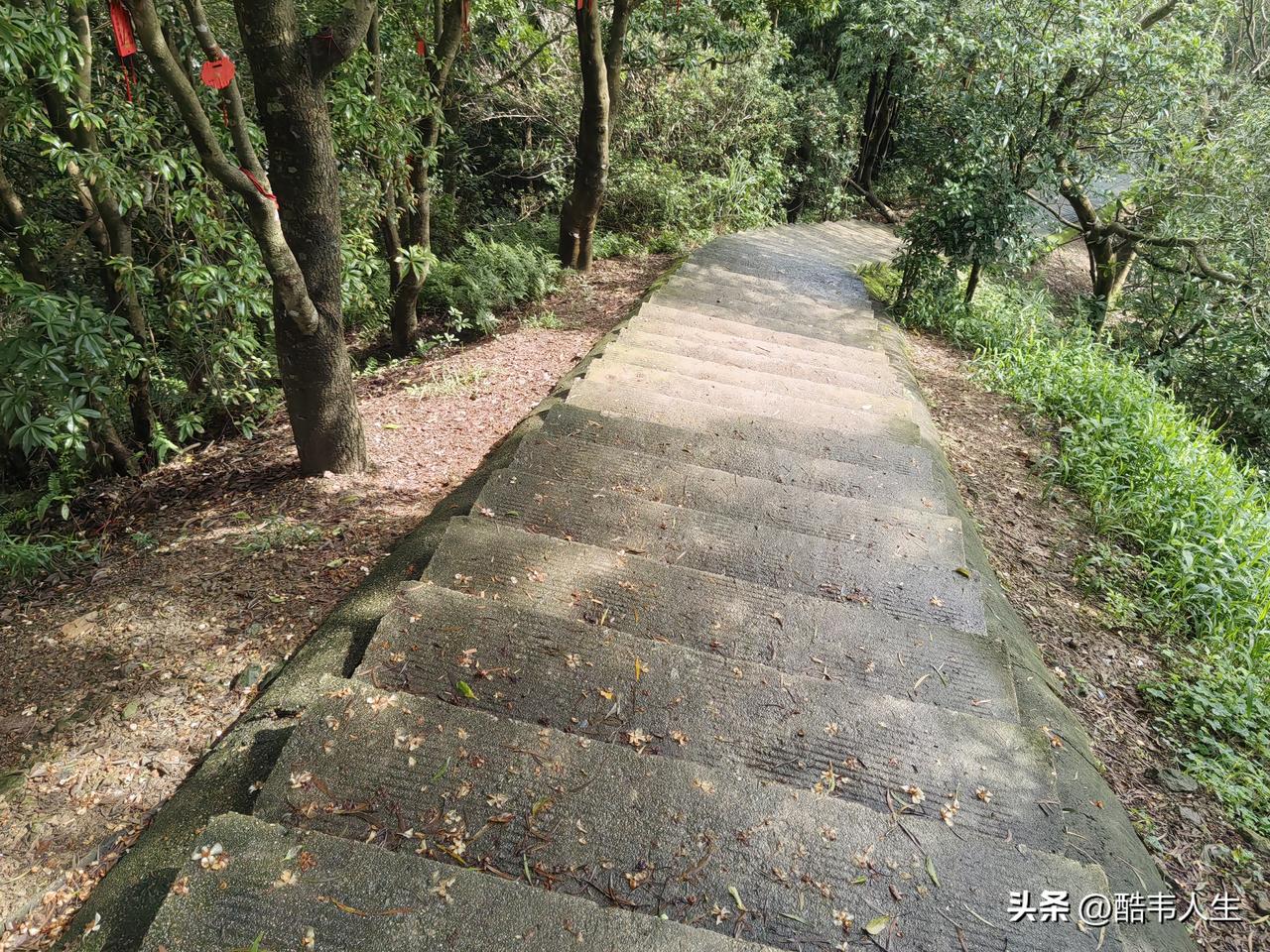 以前确实有很多垃圾，我也亲身经历过，如今确实干净了不少。
        这里说