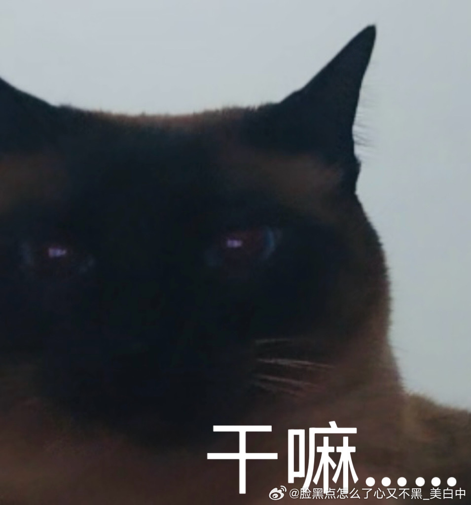 4071只黑脸干嘛…… 