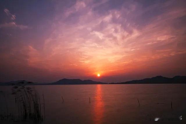 踏莎行

作者：卢炳

秋色人家，夕阳洲渚。西风催过黄华渡。江烟引素忽飞来，水禽