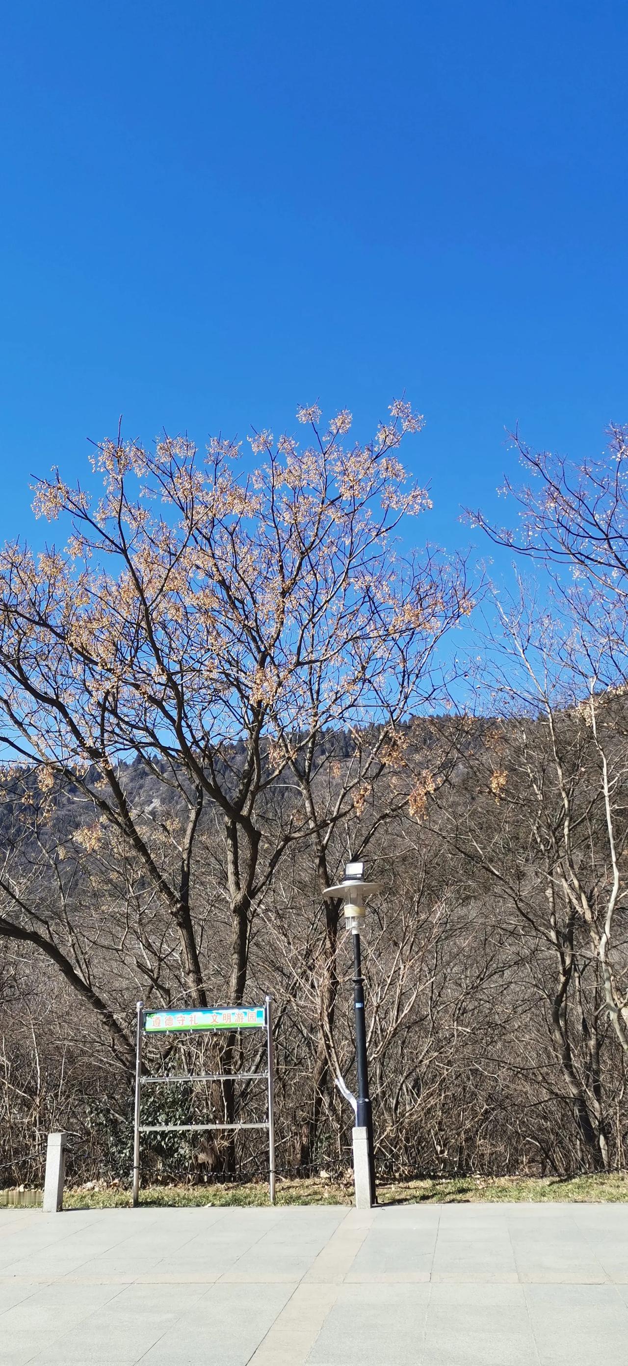 你拍过最治愈的天空是怎样的