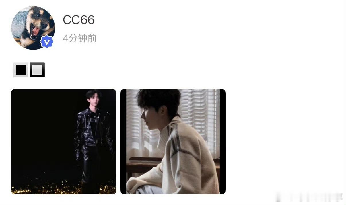 马嘉祺高会更新 