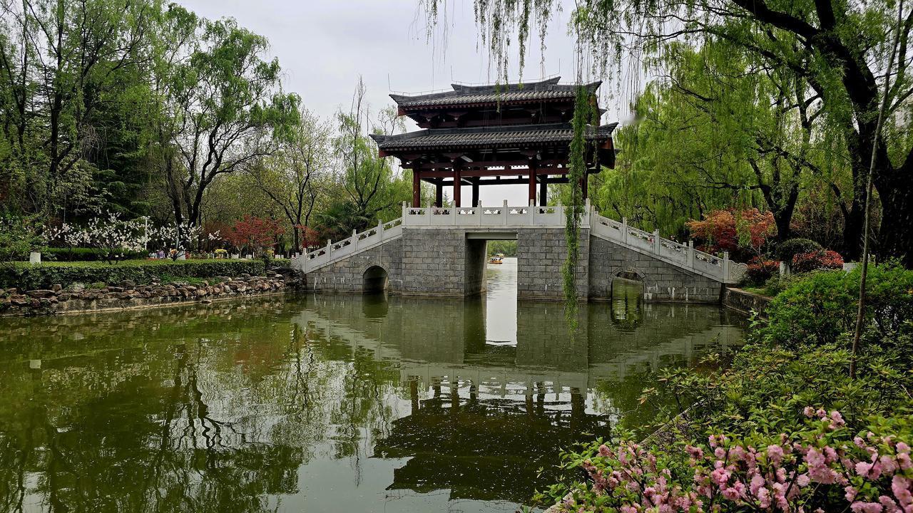 春天走得慢悠悠的，草木也长得温柔。踏进宝鸡植物园，沿着弯弯曲曲的小路走，海棠花刚