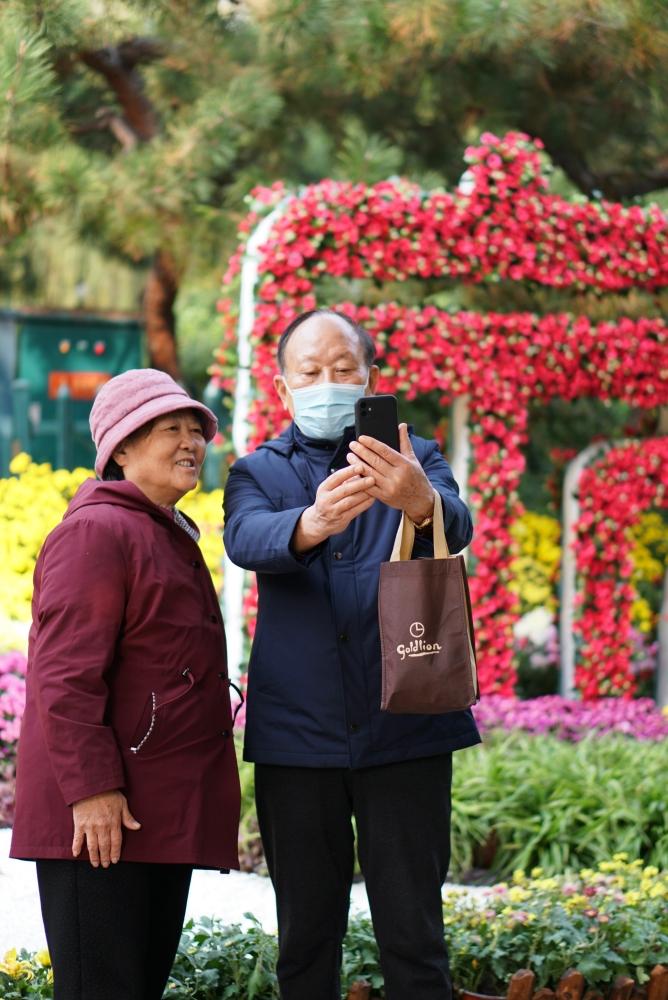 趵突泉公园的金秋菊展上周末已开幕，现在的公园已经成了花的海洋，但盛放期还没有到来