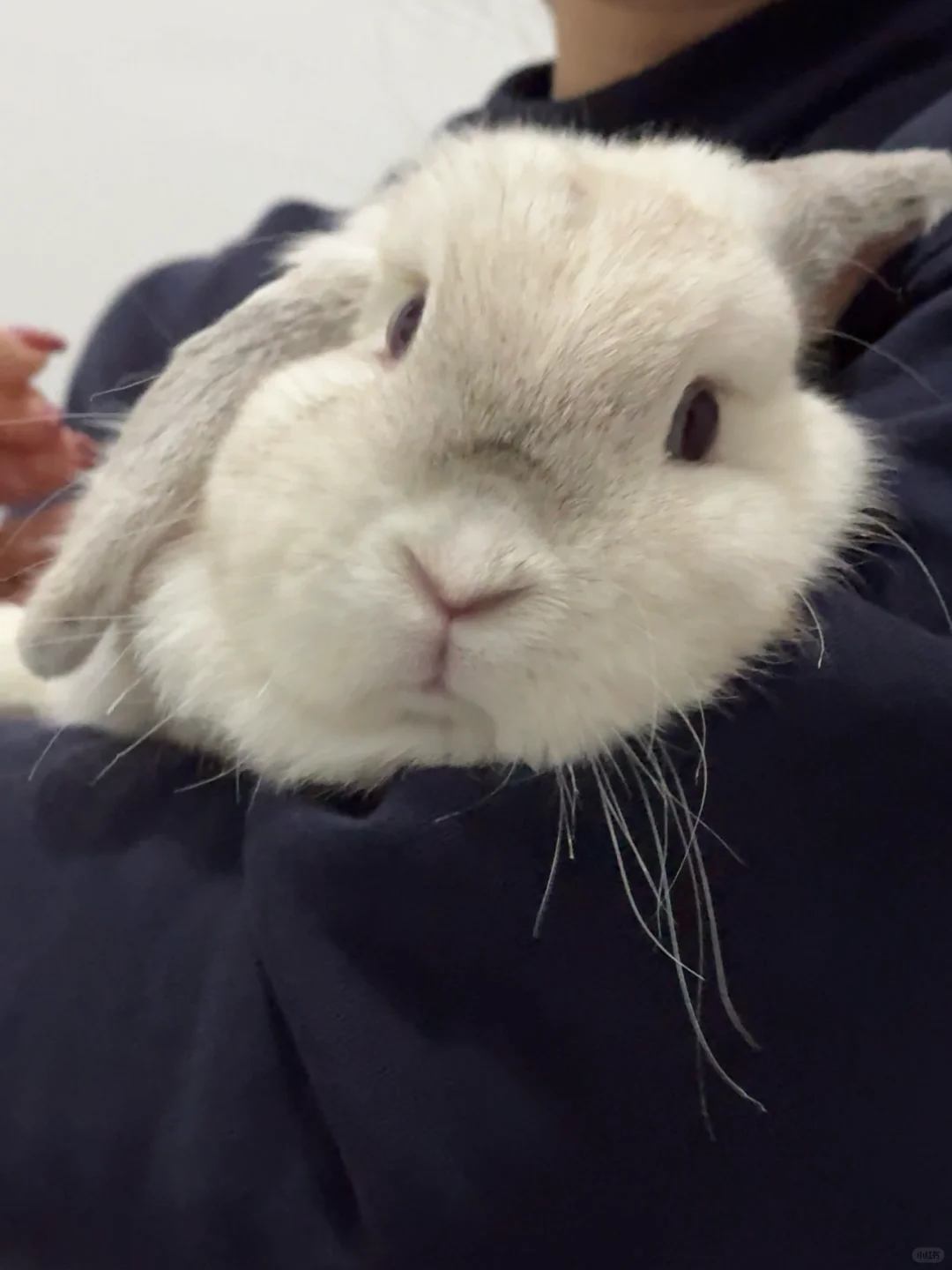 她好甜呀！