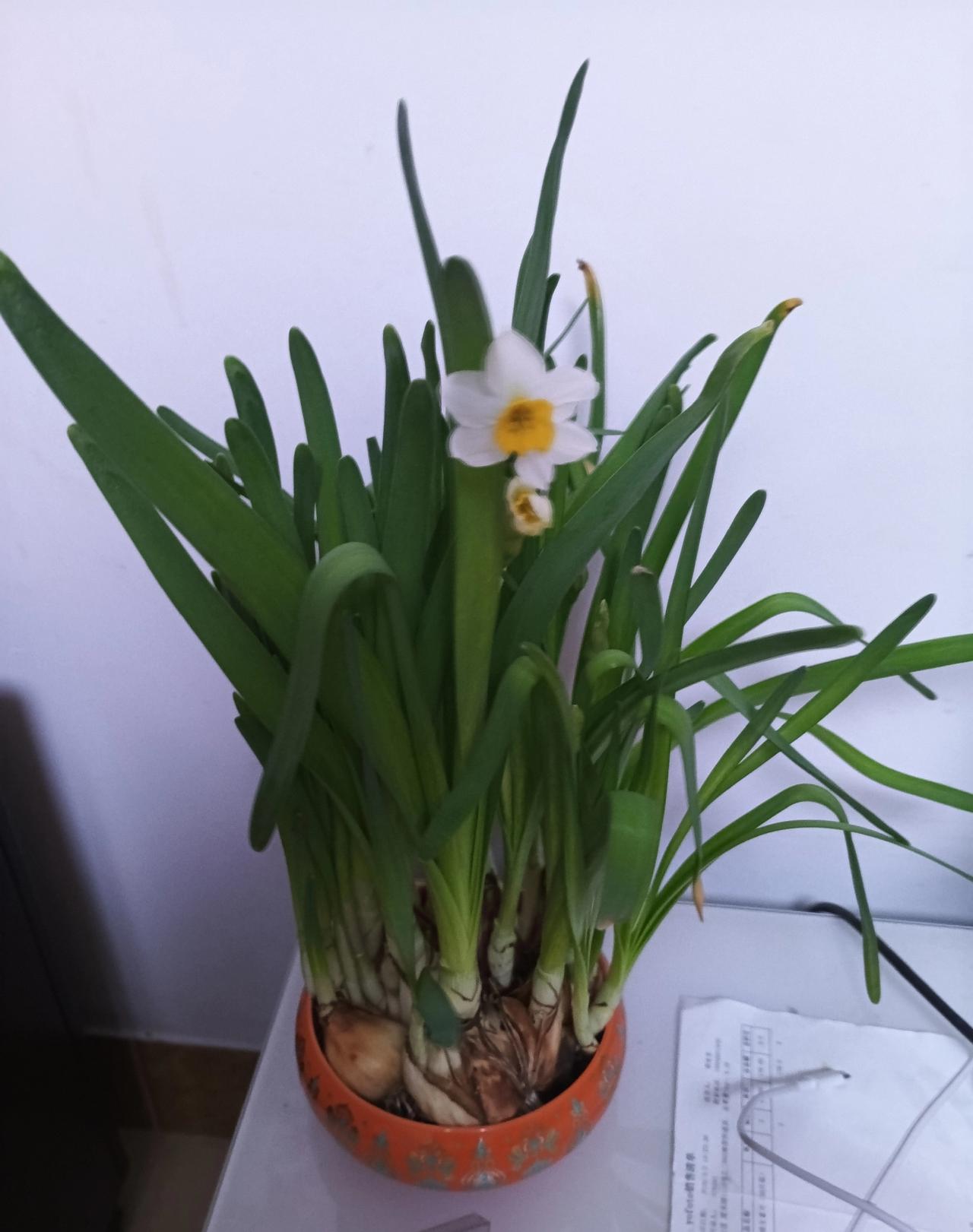 人到中年才懂：古人的顶级智慧，全在这8句活法里
 
随着年龄阅历不断增长，越读史