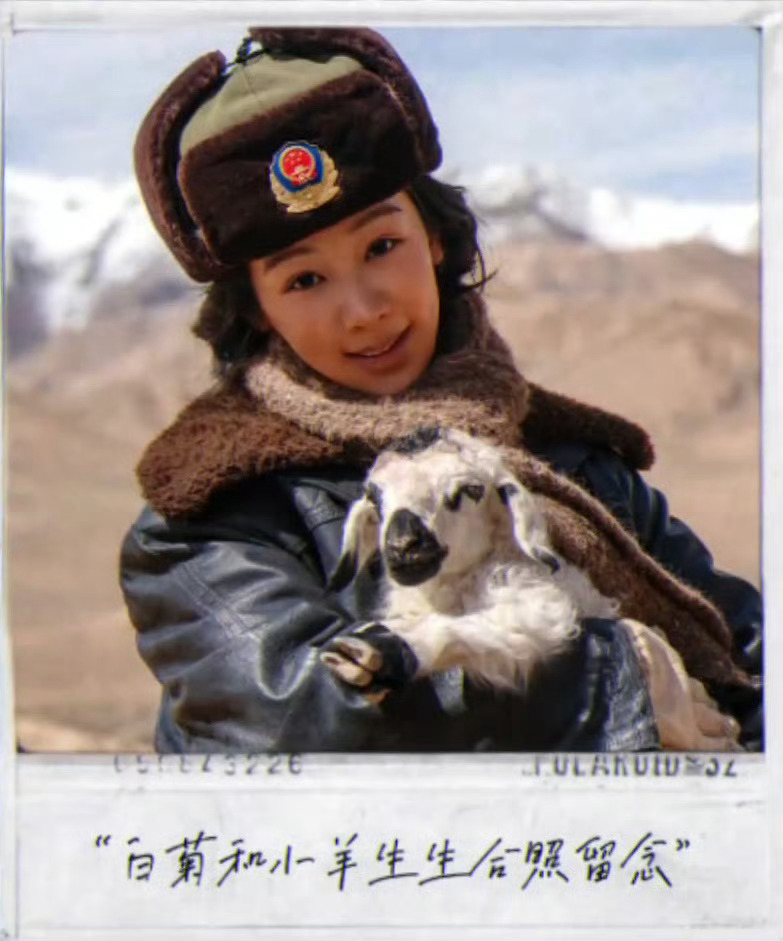 生命树杨紫抱羊合照 ​杨紫和小羊合照，太可爱了 ​​​