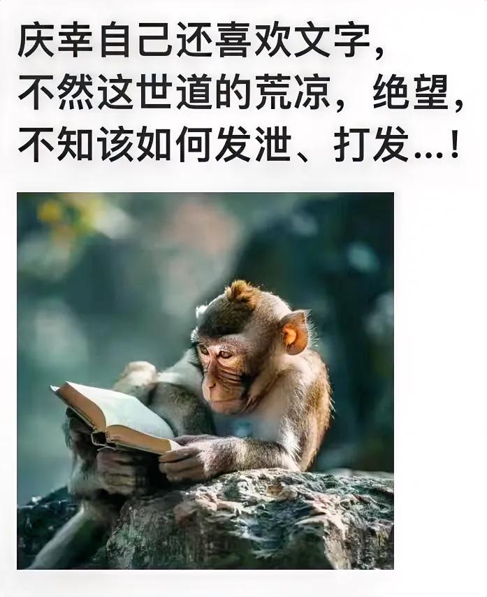 #晚安# 
文字的自愈能力
