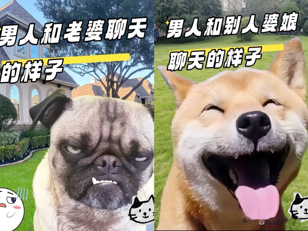 这张图真的太懂男人了，笑到肚子疼。
对自己老婆：
一张厌世脸，一问三不知，眼皮都