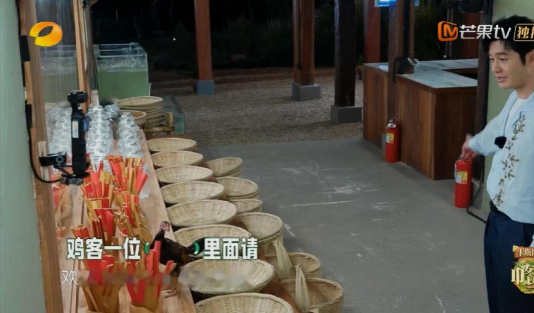 王俊凯怀疑黄晓明林大厨偷鸡蛋王俊凯谁把我家鸡蛋偷了 王俊凯这侦探瘾犯得太突然了！