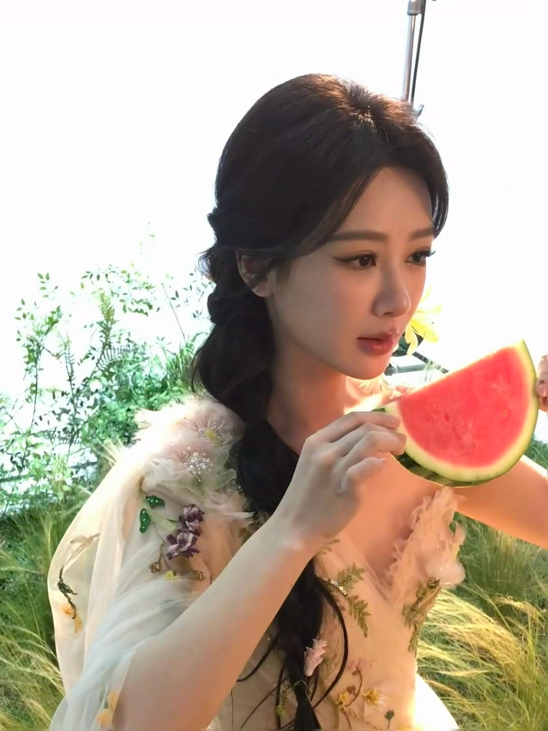 杨紫 豆包这是谁家的小仙女啊 