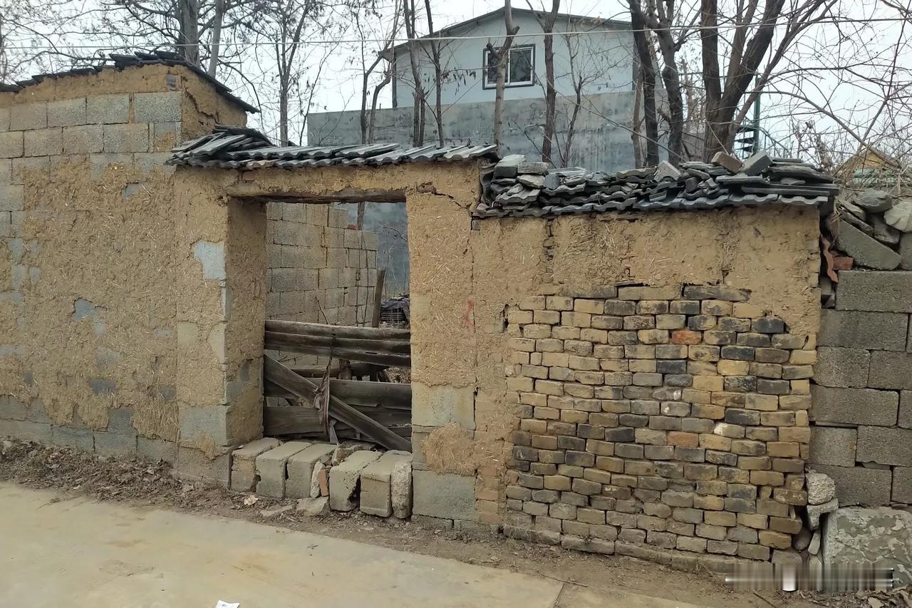 又是一个安静祥和无聊的春节 ,泰安这座宁静的村落 ,以前笑称的三八六零 ,如今变