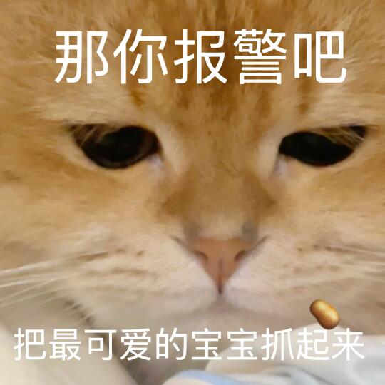 🥔卑微喵喵表情包