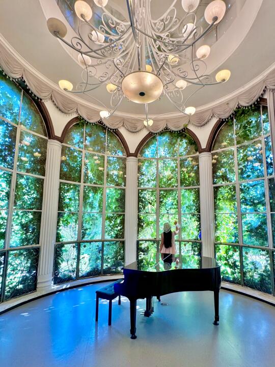 春天来南京🌸情侣一定要去的地方…（合集