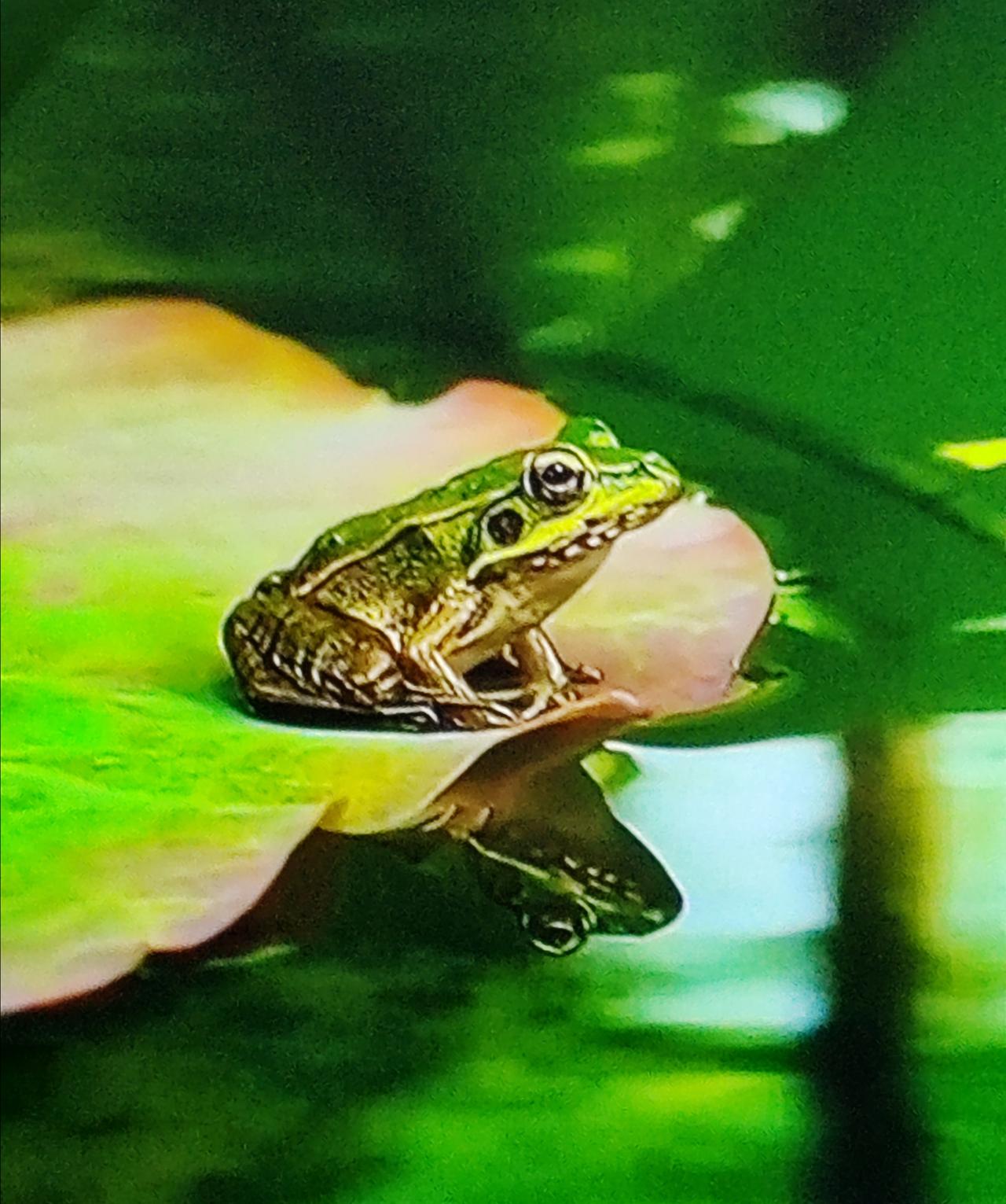 各地物价本就不一样，超市的档次也有差别，你估计是去了那种定位较高的高档超市吧。那