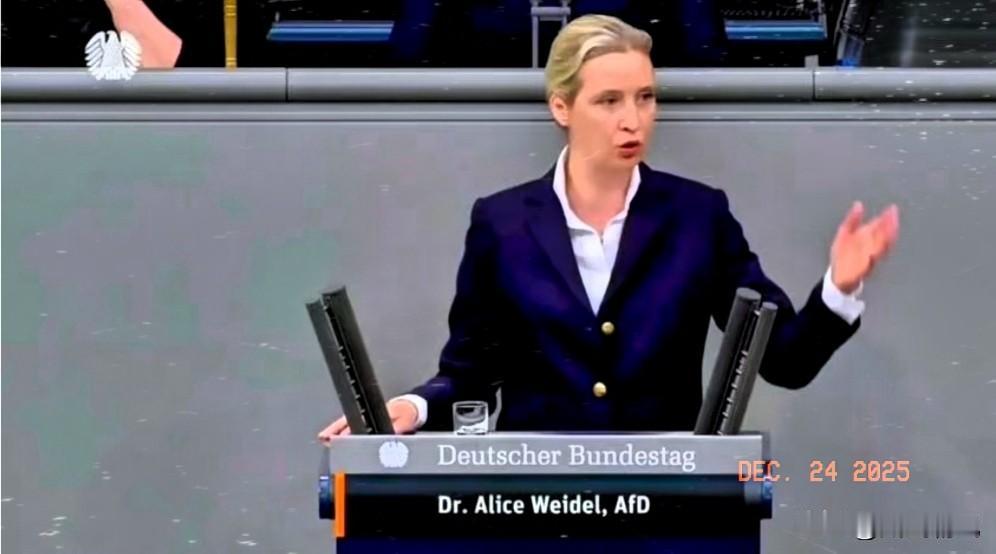 在德国一场议会演讲中，魏德尔直言不讳的说：