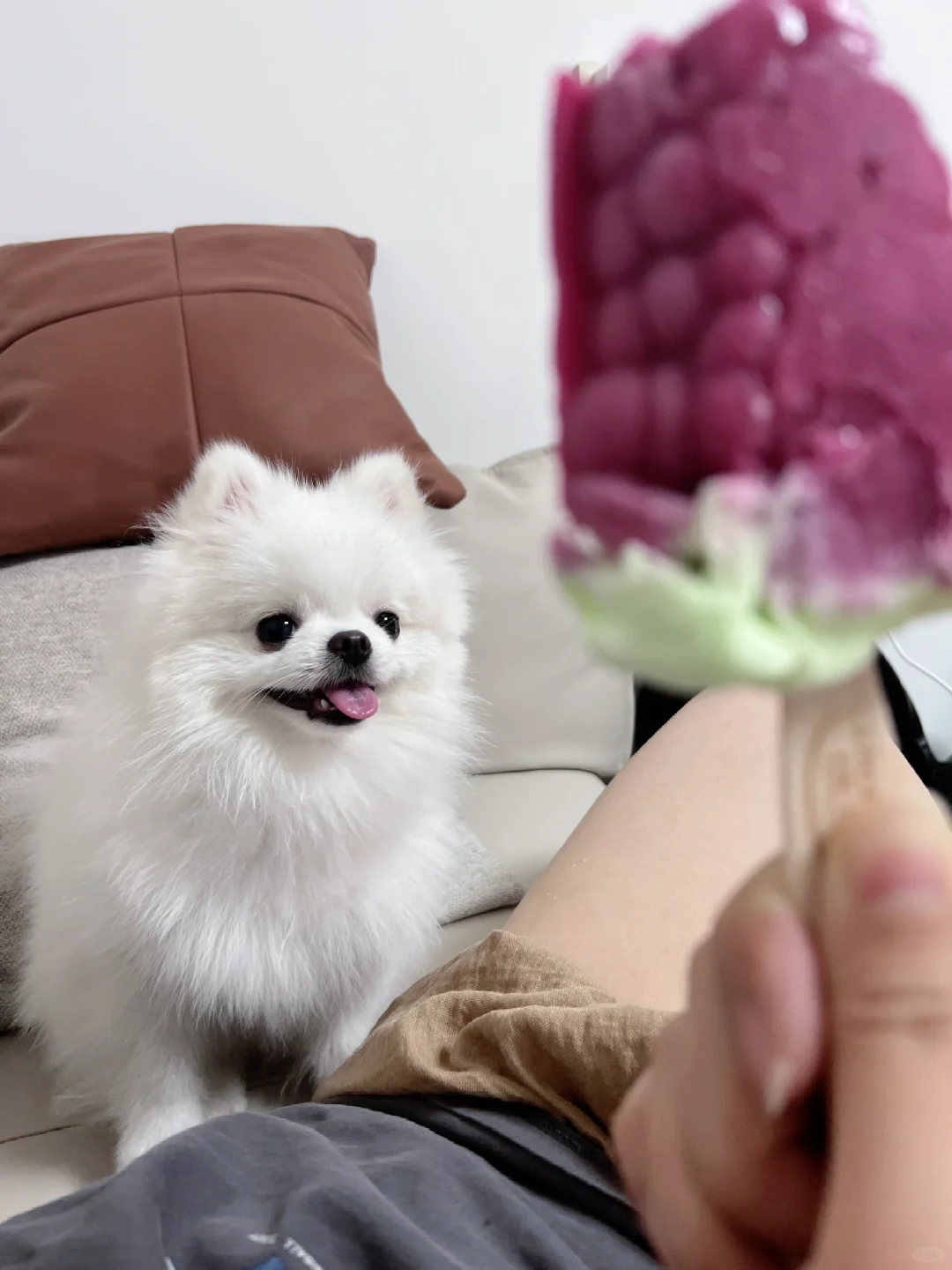 想吃一串葡萄🍇