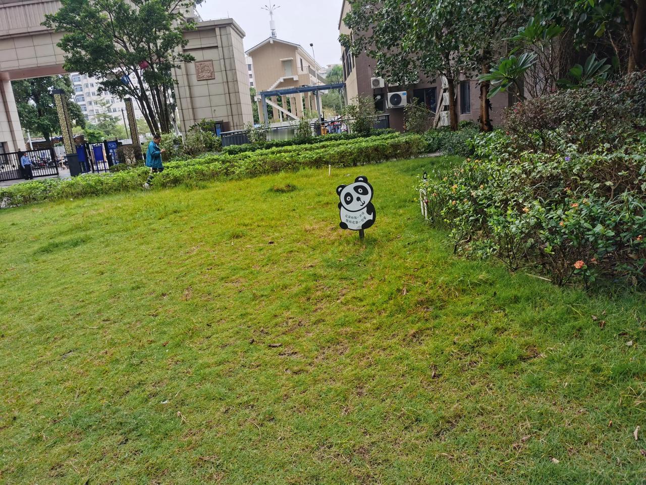 一场秋雨一场寒！外面一洗如新，小草青青，空气非常清新。现在温度22℃，凉风嗖嗖，
