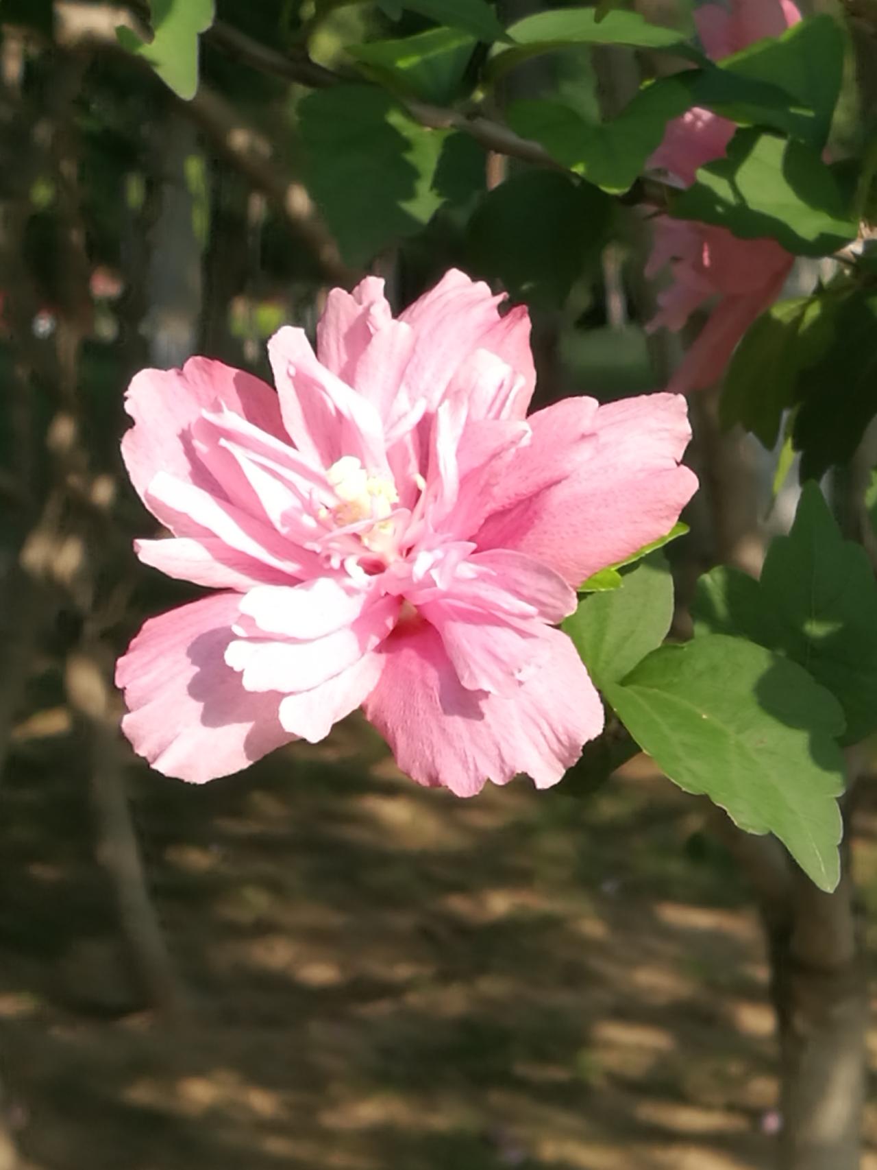 初中名校也“掐尖”
教育部颁布新规，严禁高中跨市区县“掐尖”招生、提前招生。由此