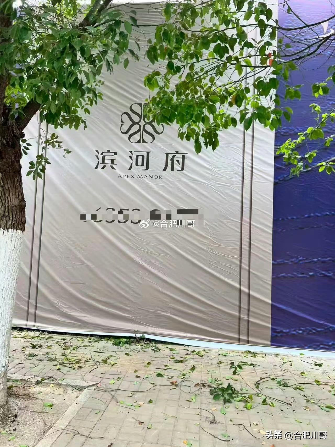 政务东，滨河湾A地块案名“滨河府”？