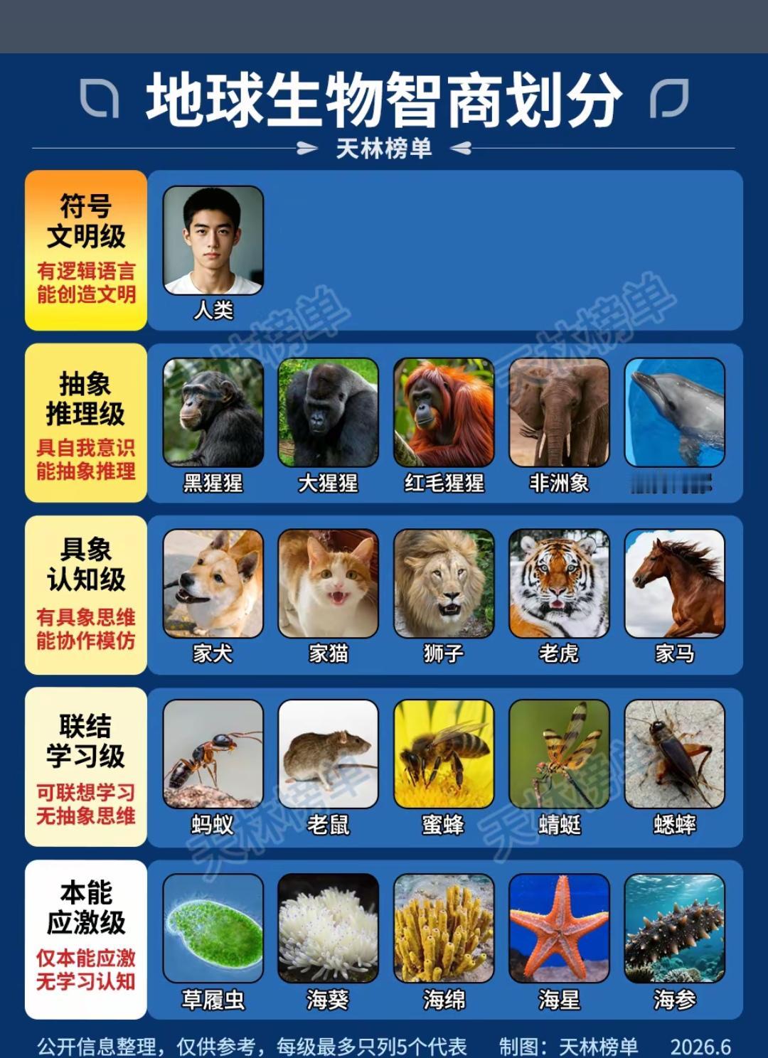 智慧一共有5级，你属于哪一级？
  1⃣️，抽象推理级：65%成年黑猩猩可以通过