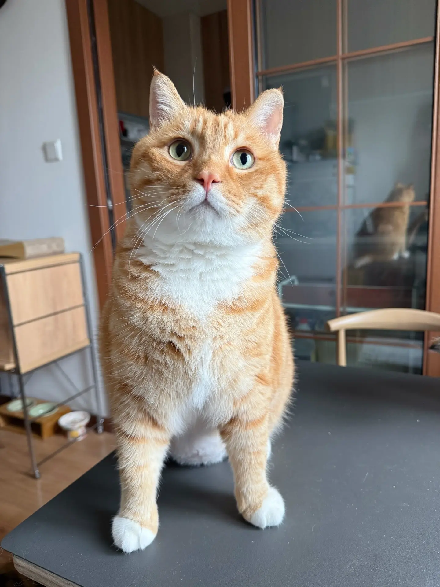 你9岁我8岁一起长大。