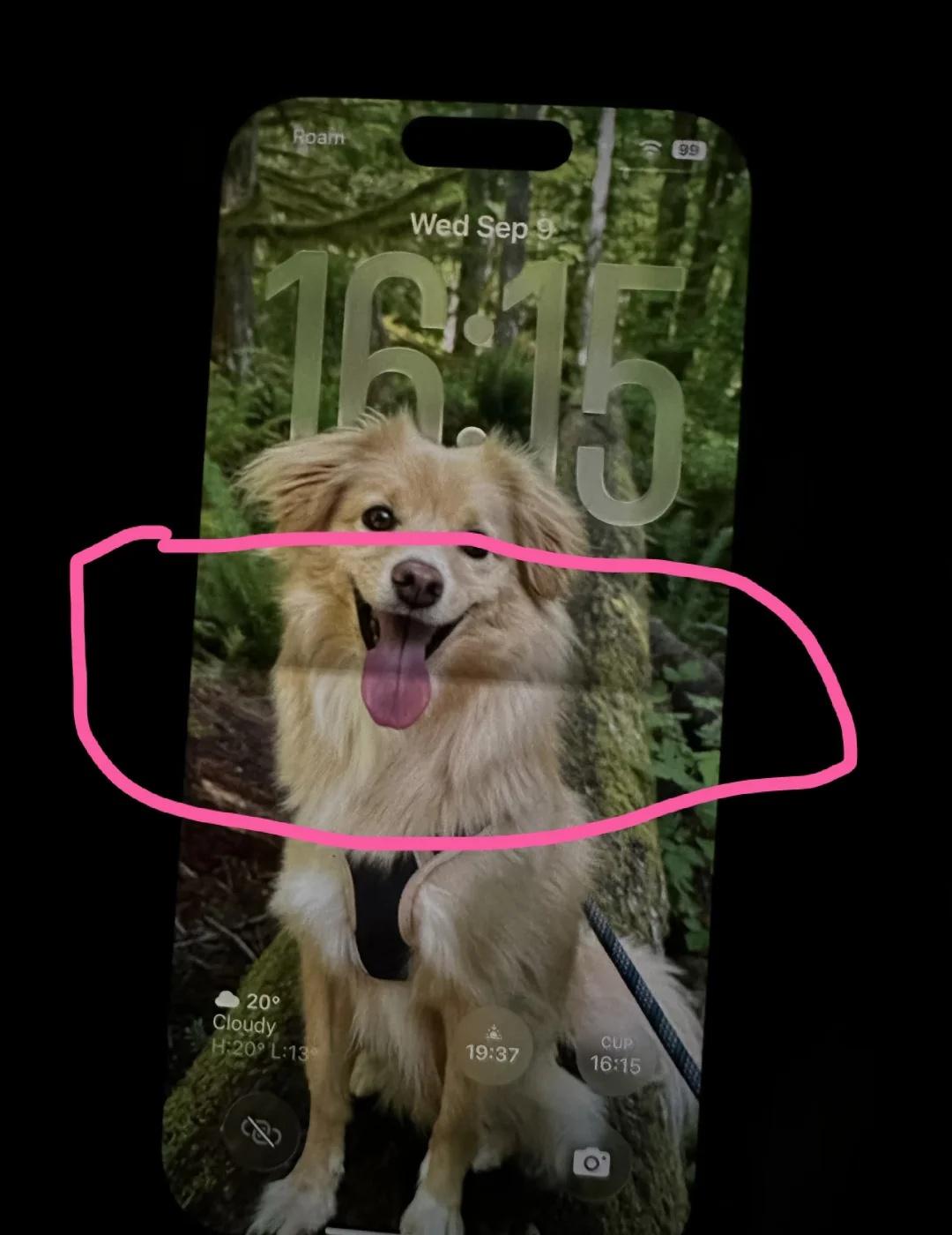 其实iPhone折叠屏的折痕明显一点更好
折叠屏的折痕本身如果完全不存在，那不就