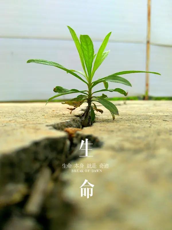 在面对生命无常时,你有何感悟? 生命无常，就像一场突如其来的暴风雨，让人猝不及防