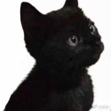 黑猫猫包围九宫格来咯，中间可以放上需要被包围的对象 