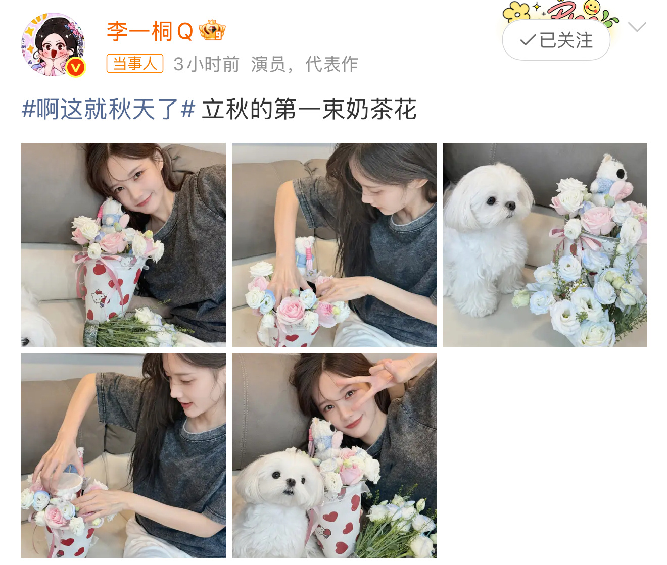 李一桐晒立秋第一束奶茶花李一桐晒立秋第一束奶茶花[哇][哇] ​​​