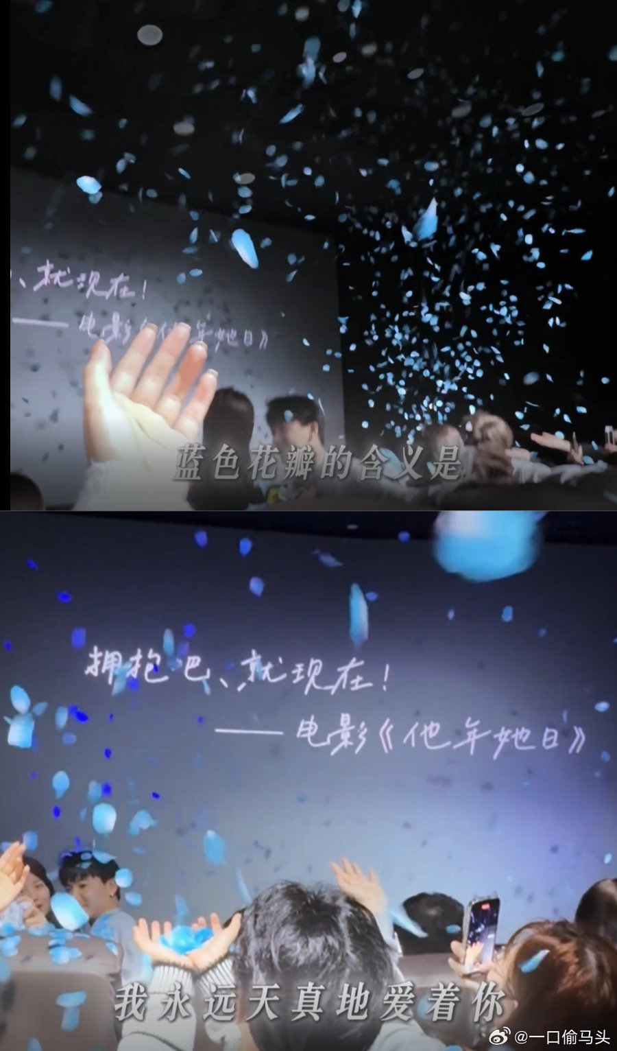 2025最后1秒在花瓣雨中度过不用等烟花不用挤人堆，影院里的浪漫又暖又戳，新年好