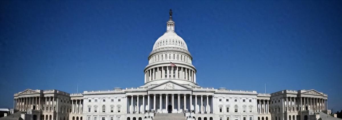 2024年的M国大选可是火药味十足啊！特朗普和哈里斯两位候选人，一个像老狐狸，一