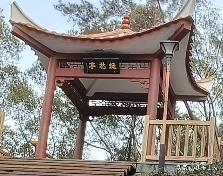 春日漫步泉州桃花山，循木阶而上，至半山处见一亭，朱檐翘角，掩映于苍松翠柏间，匾额