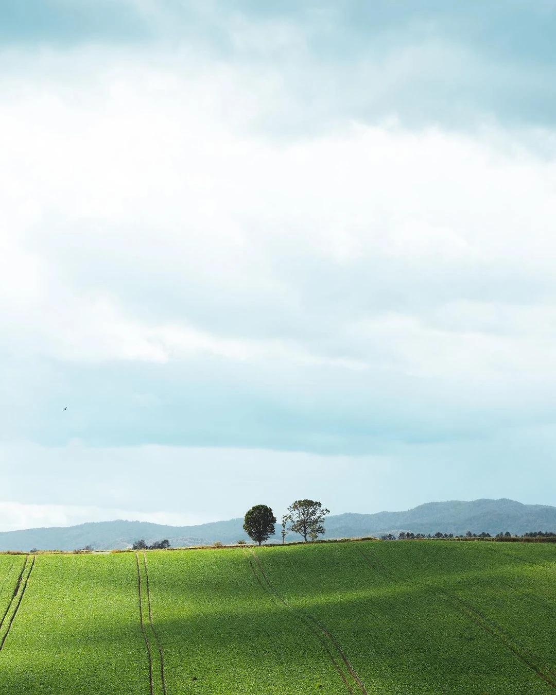 今天一位初三的学生家长联系我，孩子的数学成绩不行，基本上都是在 80~90 之间
