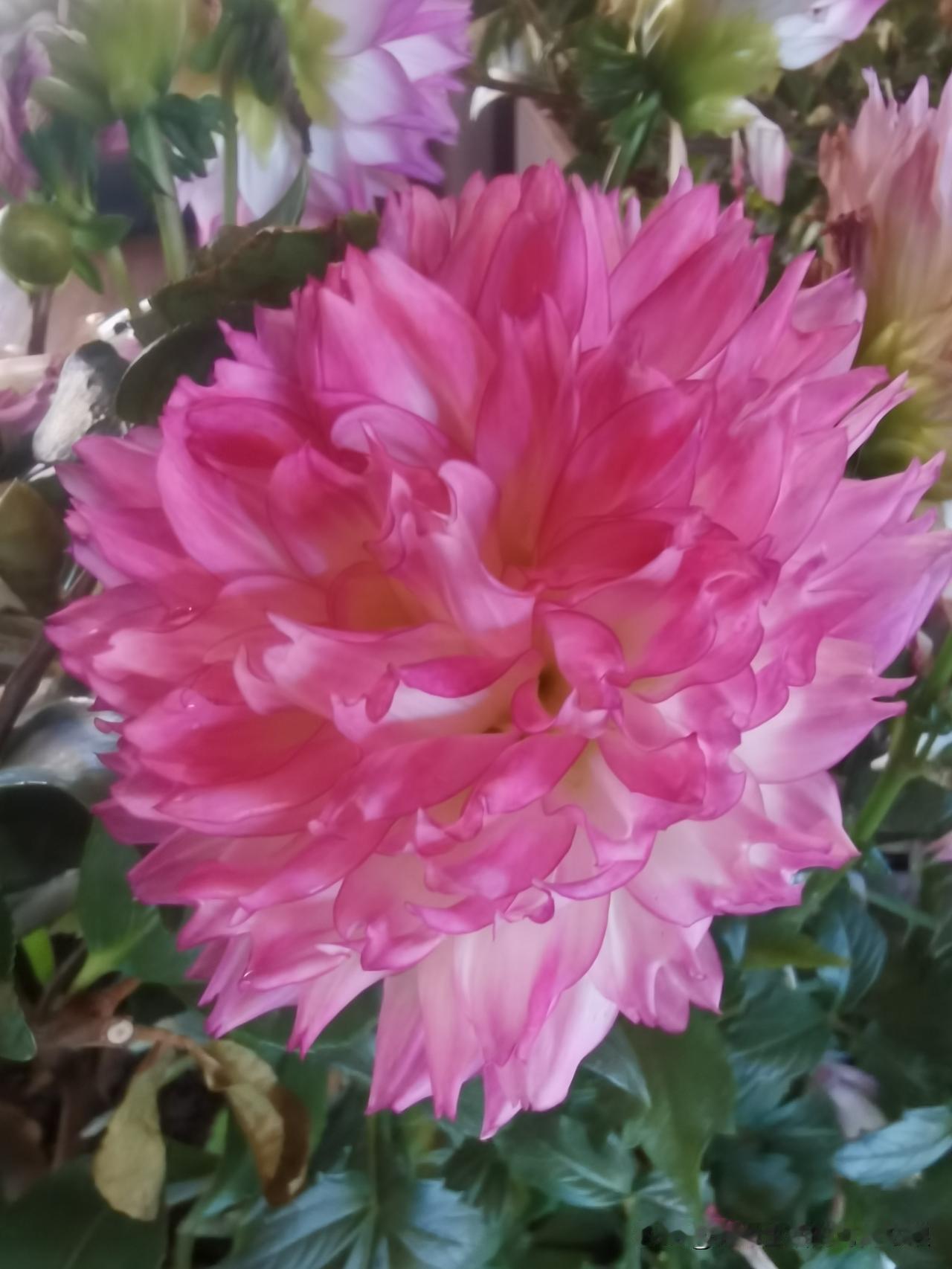 2026的自己，[强]
家人安康，[锦鲤到来]
兜里有钱，[招财进宝]
日子安稳