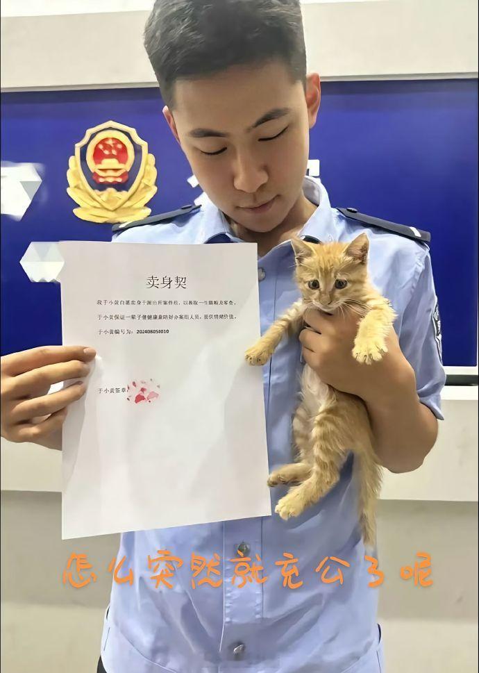 流浪好好的，突然有家了 ​​​