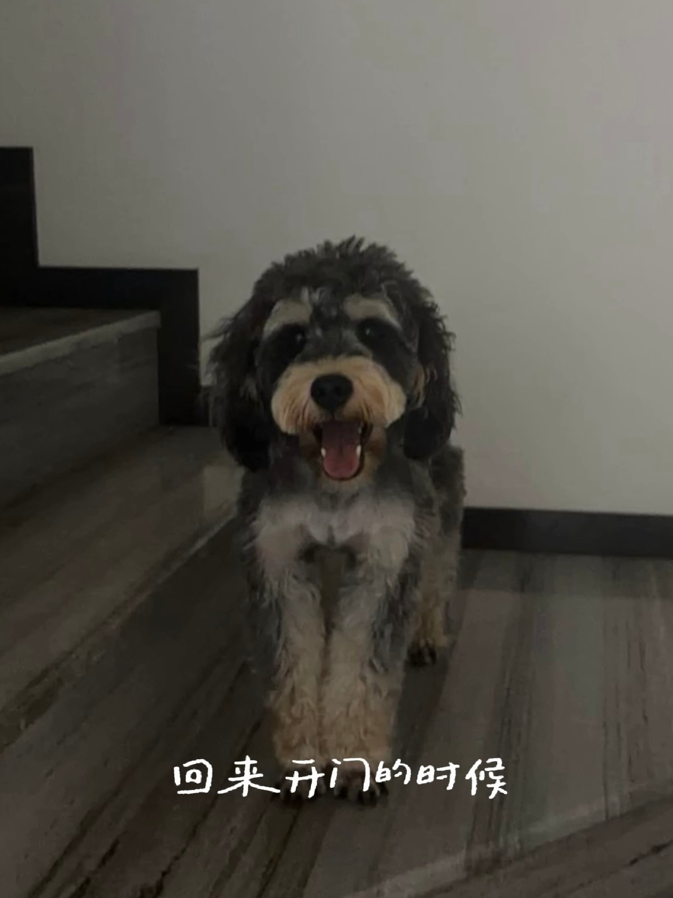我等郝普回家就这样： 