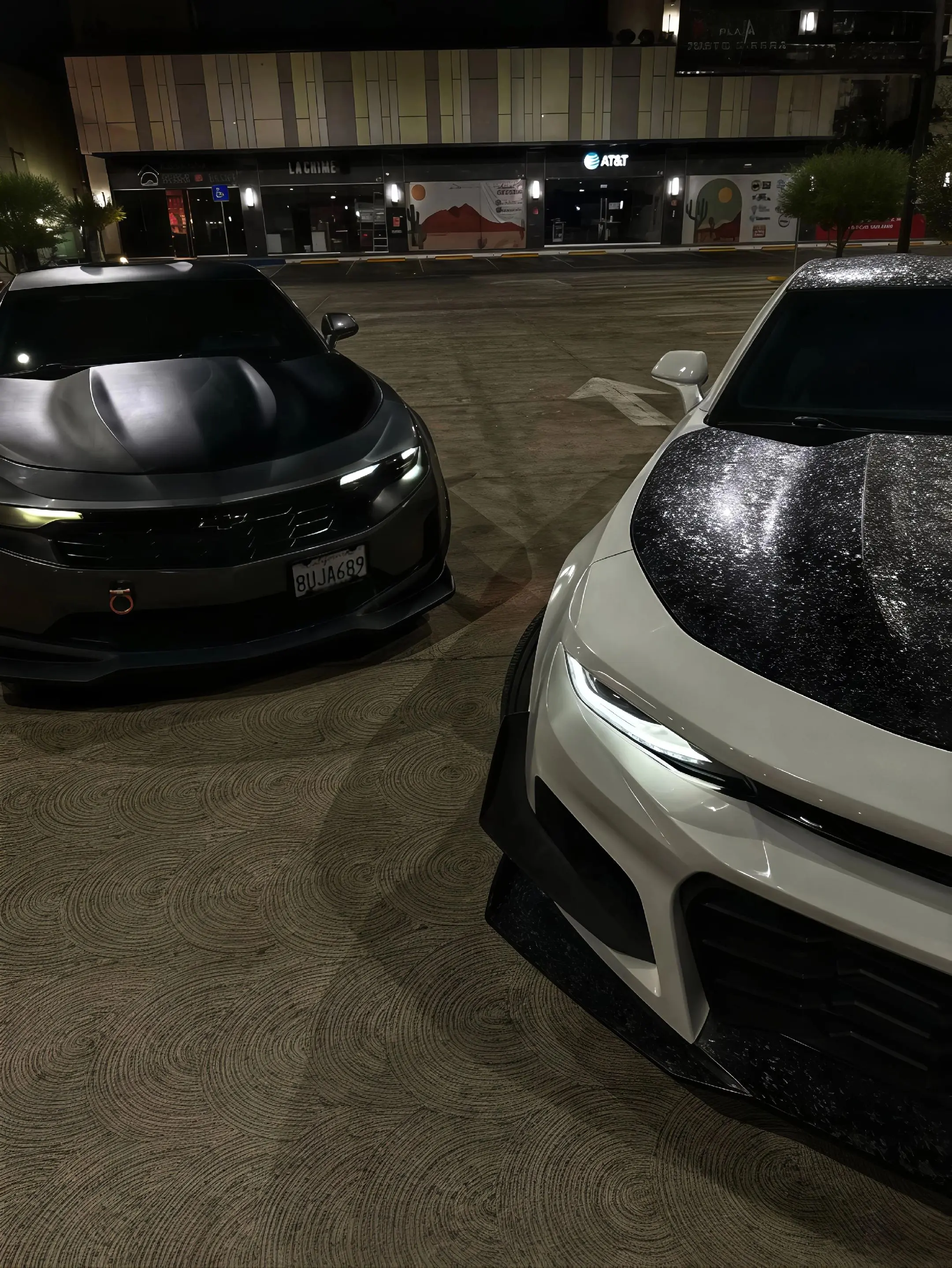 如果自由是一本书 我会在世界的每一页都盖下脚印